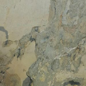 Autumn Rustic